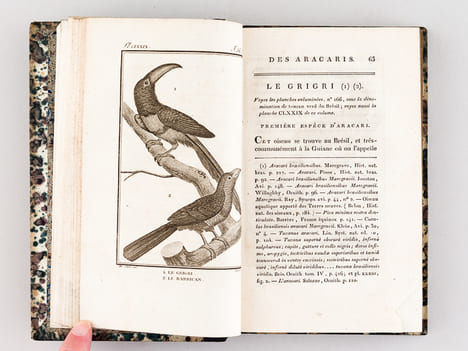 Histoire Naturelle des Oiseaux, par Leclerc de Buffon. Tome Vingtième [ Tome 20 seul ] Rédigé par C.S. Sonnini. LECLERC DE BUFFON ; SONNINI, C. S.