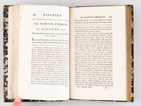 Histoire Naturelle des Oiseaux, par Leclerc de Buffon. Tome Vingtième [ Tome 20 seul ] Rédigé par C.S. Sonnini. LECLERC DE BUFFON ; SONNINI, C. S.