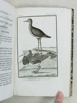 Histoire Naturelle des Oiseaux, par Leclerc de Buffon. Tome Vingt-deuxième [ Tome 22 seul ] Rédigé par C.S. Sonnini. LECLERC DE BUFFON ; SONNINI, C. ...