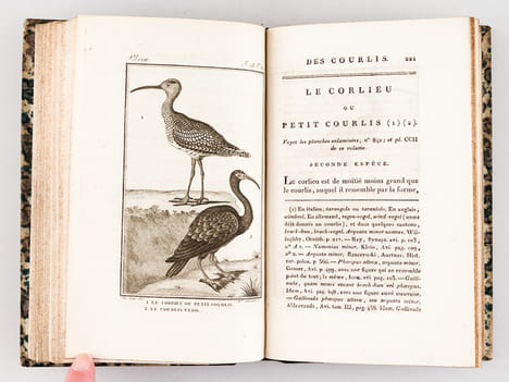 Histoire Naturelle des Oiseaux, par Leclerc de Buffon. Tome Vingt-deuxième [ Tome 22 seul ] Rédigé par C.S. Sonnini. LECLERC DE BUFFON ; SONNINI, C. ...