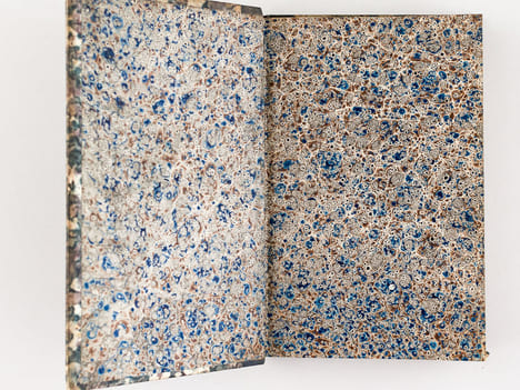 Histoire Naturelle des Oiseaux, par Leclerc de Buffon. Tome Vingt-troisième [ Tome 23 seul ] Rédigé par C.S. Sonnini. LECLERC DE BUFFON ; SONNINI, C. ...