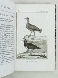 Histoire Naturelle des Oiseaux, par Leclerc de Buffon. Tome Vingt-troisième [ Tome 23 seul ] Rédigé par C.S. Sonnini