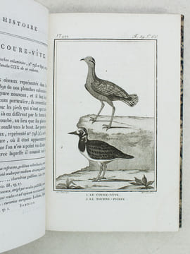 Histoire Naturelle des Oiseaux, par Leclerc de Buffon. Tome Vingt-troisième [ Tome 23 seul ] Rédigé par C.S. Sonnini. LECLERC DE BUFFON ; SONNINI, C. ...