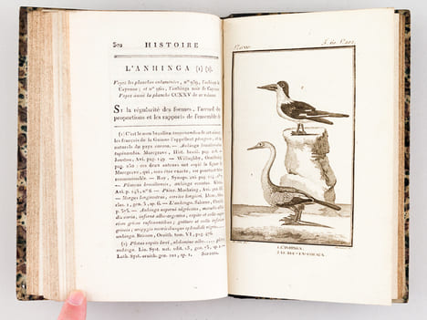 Histoire Naturelle des Oiseaux, par Leclerc de Buffon. Tome Vingt-Quatrième [ Tome 24 seul ] Rédigé par C.S. Sonnini. LECLERC DE BUFFON ; SONNINI, C. ...