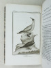 Histoire Naturelle des Oiseaux, par Leclerc de Buffon. Tome Vingt-Quatrième [ Tome 24 seul ] Rédigé par C.S. Sonnini. LECLERC DE BUFFON ; SONNINI, C. ...