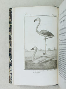 Histoire Naturelle des Oiseaux, par Leclerc de Buffon. Tome Vingt-Cinquième [ Tome 25 seul ] Rédigé par C.S. Sonnini