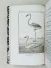 Histoire Naturelle des Oiseaux, par Leclerc de Buffon. Tome Vingt-Cinquième [ Tome 25 seul ] Rédigé par C.S. Sonnini. LECLERC DE BUFFON ; SONNINI, C. ...