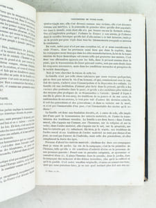 L'Enseignement Catholique. Journal des Prédicateurs. (Tribune Sacrée). Dix-Septième Année. Revue Mensuelle. Deuxième Série Tome V : Année 1867