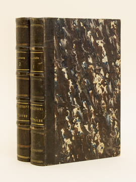 Histoire des Révolutions de l'Empire d'Autriche. Années 1848 et 1849. (2 Tomes - Complet). BALLEYDIER, Alphonse