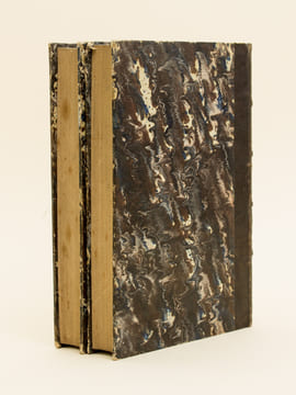 Histoire des Révolutions de l'Empire d'Autriche. Années 1848 et 1849. (2 Tomes - Complet). BALLEYDIER, Alphonse