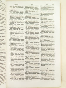 Lexicon hebraico-latinum, cui accessit appendix dictionum chaldaicarum quæ in Veteri Testamento leguntur [ Avec : ] Nova Methodus Hebraica Punctis Masoreticis Expurgata [ Avec : ] Brevis et perspicua Institutio linguae chaldaicae, ad intelligendum eas Sacri Codicis partes que chaldaeo idiomate scriptae sunt.