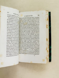 Seize Instructions sur la Nature et les Devoirs de la Charge Pastorale prêchées du mois d'octobre 1854 au mois de mars 1855.