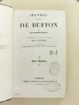 Oeuvres complètes de Buffon avec les Supplémens, augmentés de la classification de G. Cuvier. Tome 7. BUFFON ; CUVIER