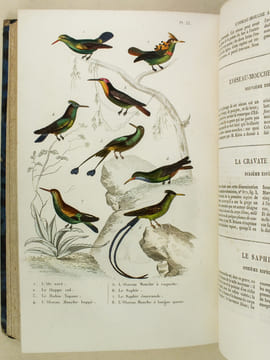 Oeuvres complètes de Buffon avec les Supplémens, augmentés de la classification de G. Cuvier. Tome 8. BUFFON ; CUVIER