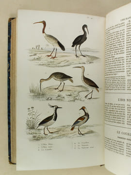 Oeuvres complètes de Buffon avec les Supplémens, augmentés de la classification de G. Cuvier. Tome 9. BUFFON ; CUVIER