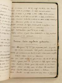 Manuscrit anonyme de grammaire et recherche en grammaire hébraïque.