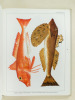 Poissons & Crustacés. La cuisine de la mer.. DAVIDSON, Alan ; KNOX, Charlotte