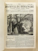 Le Journal du Dimanche , Littérature - Histoire - Voyages - Musique , Année 1862 ( du n° 436 du  2 janvier 1862 au n° 539 du 28 décembre 1862 ) [ ...