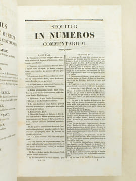 Scripturae sacrae, cursus completus. Tomus Septimus ( Tome VII - 7 -) : In Numeros. In Deuteronomium. In Josuam.  Sequitur in Numeros Commentarium  - ...