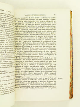Les Petits Bollandistes. Vies des Saints d'après les Bollandistes, Surius, Ribadeneira, le P. Giry, les hagiologies et les propres de chaque diocèse ...