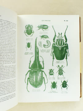 Le Monde Vivant , histoire naturelle illustrée ( 3 tomes - complet ) . COUTIERE, Henri