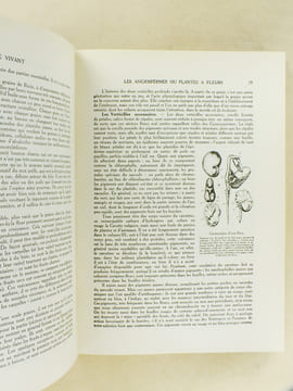 Le Monde Vivant , histoire naturelle illustrée ( 3 tomes - complet ) . COUTIERE, Henri