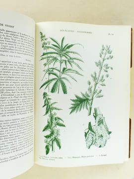 Le Monde Vivant , histoire naturelle illustrée ( 3 tomes - complet ) . COUTIERE, Henri