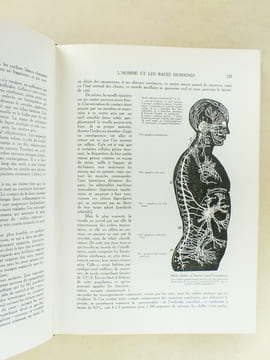Le Monde Vivant , histoire naturelle illustrée ( 3 tomes - complet ) . COUTIERE, Henri