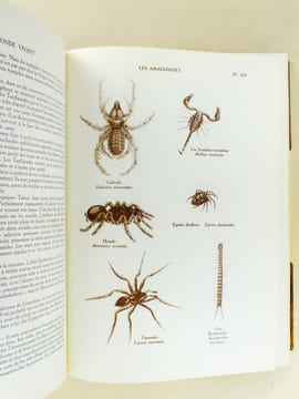 Le Monde Vivant , histoire naturelle illustrée ( 3 tomes - complet ) . COUTIERE, Henri