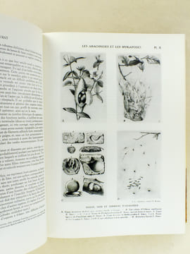 Le Monde Vivant , histoire naturelle illustrée ( 3 tomes - complet ) . COUTIERE, Henri