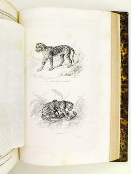 Oeuvres de Buffon, Avec les suites par M. Achille Comte. Tomes 3 et 4 [ Minéraux, Homme et Quadrupèdes ] . BUFFON ; COMTE, Achille ; ADAM, Victor