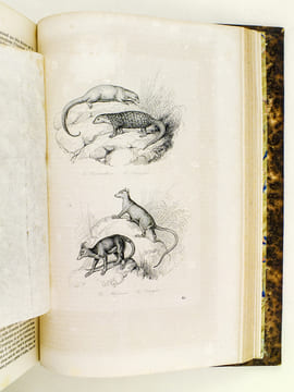 Oeuvres de Buffon, Avec les suites par M. Achille Comte. Tomes 3 et 4 [ Minéraux, Homme et Quadrupèdes ] . BUFFON ; COMTE, Achille ; ADAM, Victor