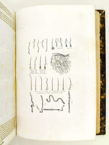Oeuvres de Buffon, Avec les suites par M. Achille Comte. Tomes 3 et 4 [ Minéraux, Homme et Quadrupèdes ] 