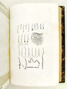 Oeuvres de Buffon, Avec les suites par M. Achille Comte. Tomes 3 et 4 [ Minéraux, Homme et Quadrupèdes ] . BUFFON ; COMTE, Achille ; ADAM, Victor