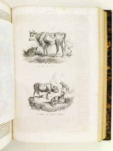 Oeuvres de Buffon, Avec les suites par M. Achille Comte. Tomes 3 et 4 [ Minéraux, Homme et Quadrupèdes ] 