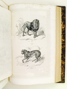 Oeuvres de Buffon, Avec les suites par M. Achille Comte. Tomes 3 et 4 [ Minéraux, Homme et Quadrupèdes ] 