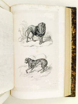 Oeuvres de Buffon, Avec les suites par M. Achille Comte. Tomes 3 et 4 [ Minéraux, Homme et Quadrupèdes ] . BUFFON ; COMTE, Achille ; ADAM, Victor