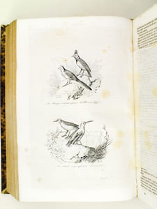 Oeuvres de Buffon, Avec les suites par M. Achille Comte. Tomes 5 et 6 [ Quadrupèdes et Oiseaux ] 