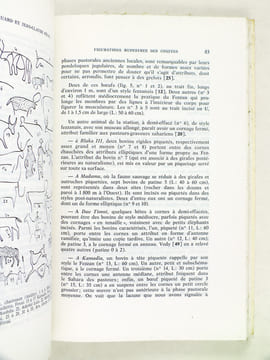 Travaux de l'Institut de Recherches Sahariennes. Tome XXIII. 1er et 2e Semestre 1964 [Contient  : ] Ferragne : La série de l'Arechchoum dans la région ...