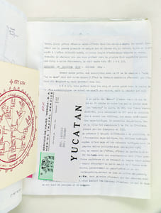 Séjour au Mexique. Journal de Bord : 4 Novembre 1968 au 6 Décembre 1968