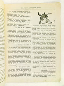 Une figura cumbre del toreo contemporaneo. Vicente Barrera.