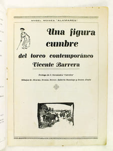 Une figura cumbre del toreo contemporaneo. Vicente Barrera.