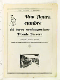Une figura cumbre del toreo contemporaneo. Vicente Barrera.