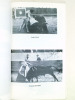 Les taureaux du Tage. Touros et toureiros portugais en France 1947-1961. FABARON, Jean-Pierre ; SODORE, Mathieu