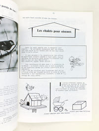 L'Appel des Oiseaux.