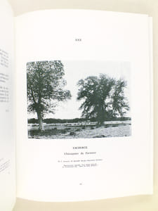 Lande d'autrefois. Photos et textes de l'Auteur