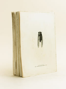 Le Jubilé de Frédéric Mistral. Cinquantenaire de Mireille. Arles, 29-30-31, Mai 1909. CHARLES-ROUX, J.