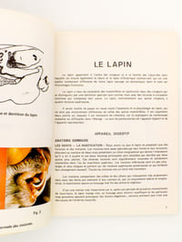 Les maladie du lapin et du lièvre - les maladies du lapin classées d'après les symptômes et les lésions