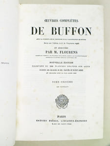 Oeuvres complètes de Buffon. Tome 11 : Les Minéraux