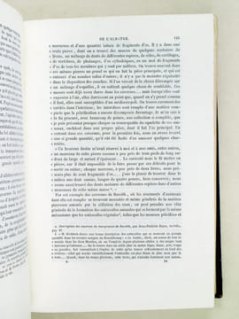 Oeuvres complètes de Buffon. Tome 10 : Les Minéraux. BUFFON ; FLOURENS ; [ TRAVIES ; GOBIN, Henry ; etc. ] 